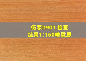 伤寒h901 检查结果1:160啥意思